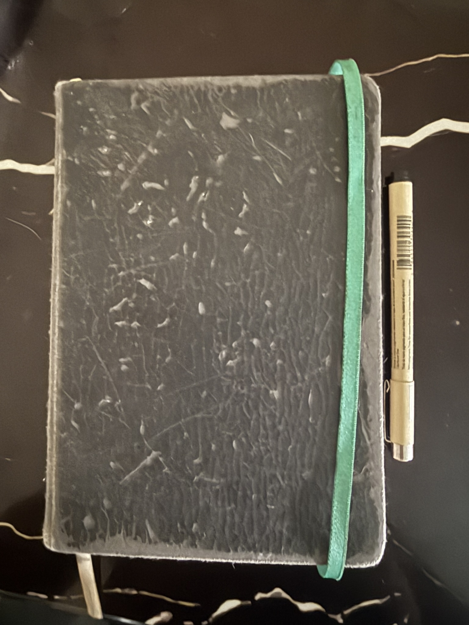 Allard Lavaritte's sketch book